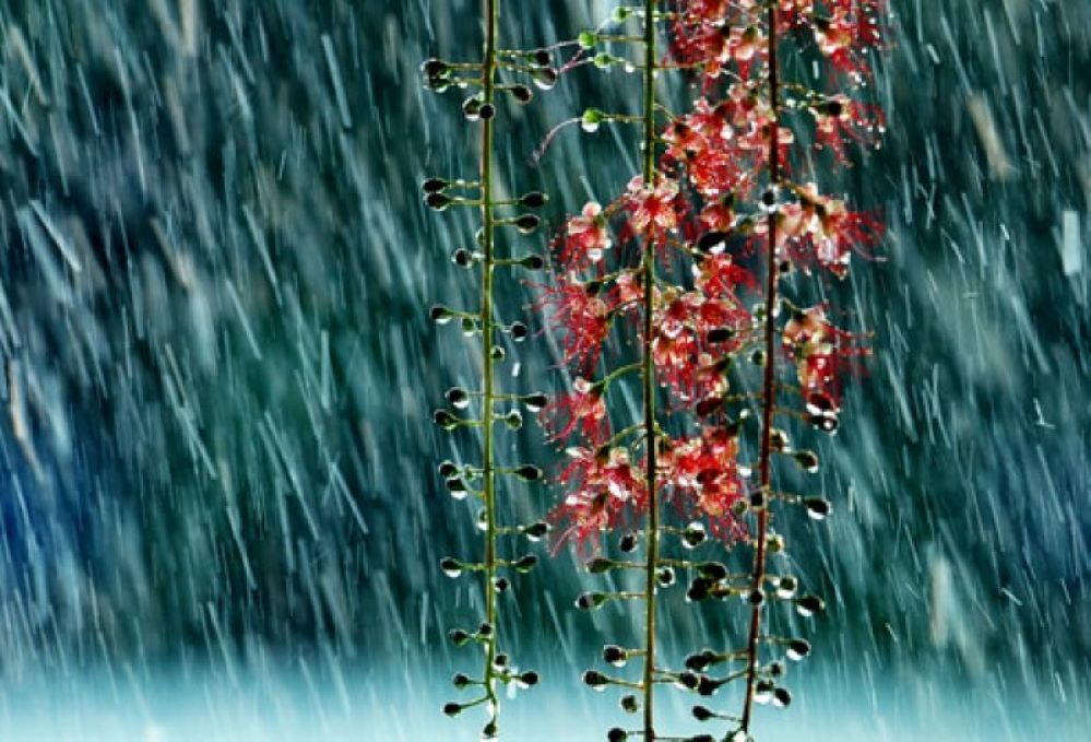 Ngày 7-1, nhiều khu vực có mưa, trời rét